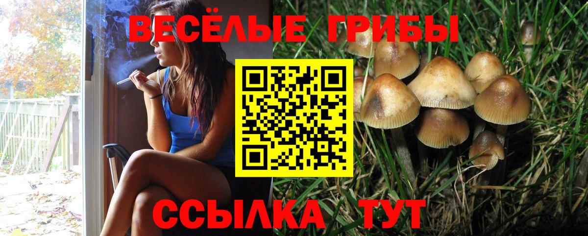 Аргун  Галлюциногенные грибы ЛСД  Вход с VPN 