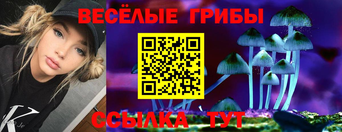 Псилоцибиновые грибы Cubensis Аргун